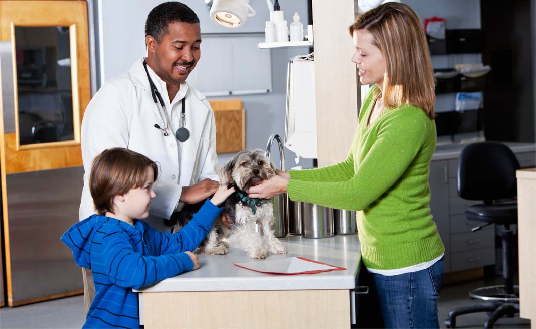 Resources for Veterinarians